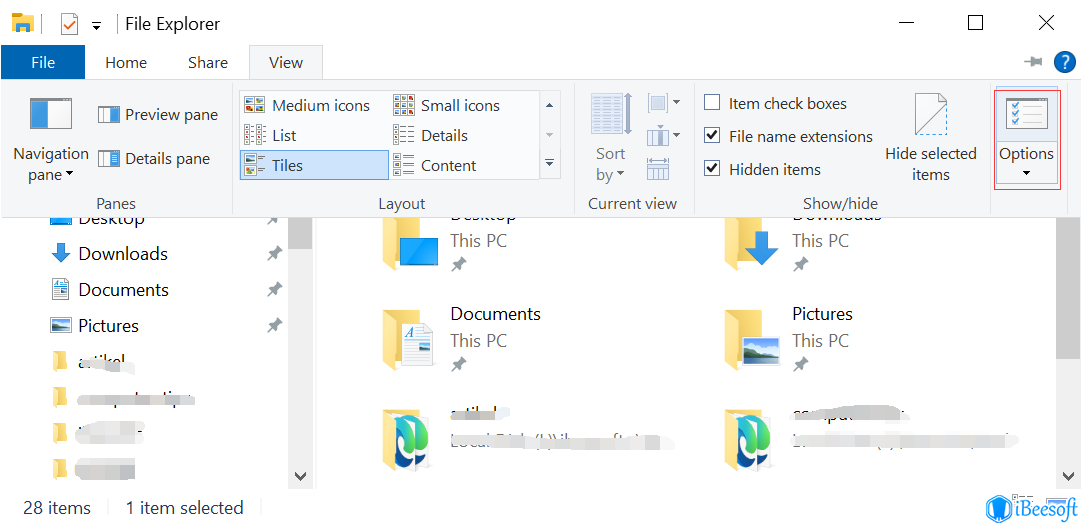 file explorer view