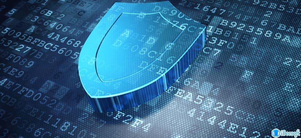 iBeesoft Privacy Policy