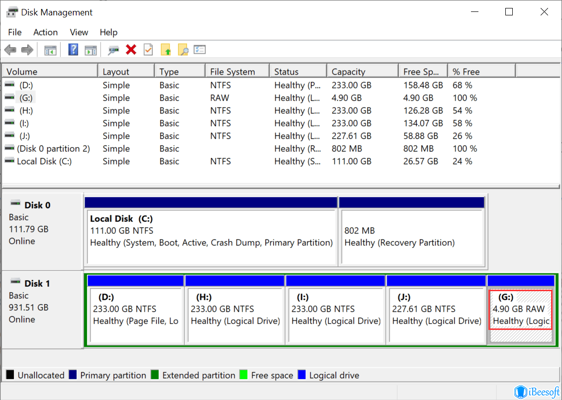 recuperar archivos de RAW - iBeesoft