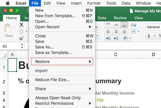 change excel from read only mac