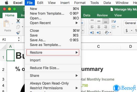 change excel from read only mac